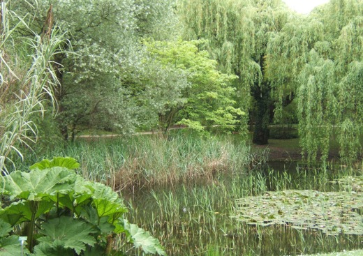 Photo Jardin Botanique de l'Université de Strasbourg