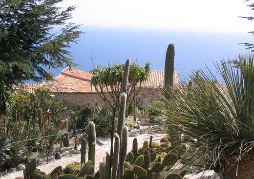 Jardin d'Eze - Jardin Exotique