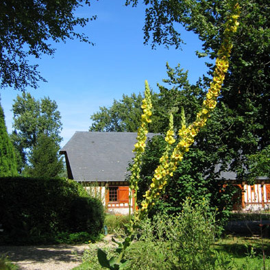 Jardin des Amouhoques