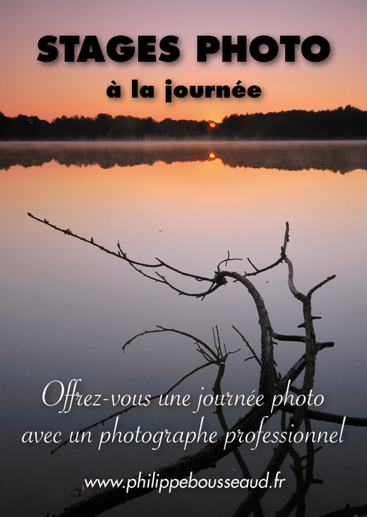www.cours-et-stages-photo.com