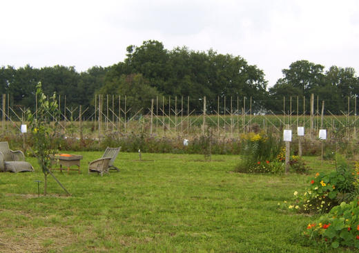Jardin des Merlettes, un site à visiter