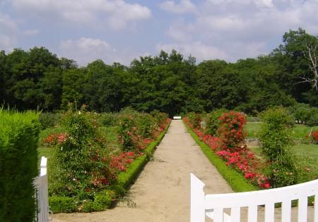Jardin du château du Moulin et Conservatoire de la