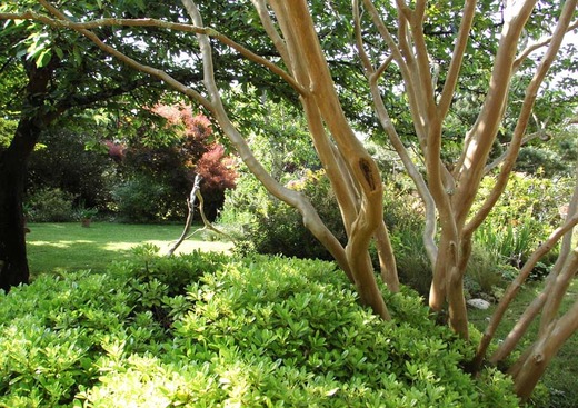 Jardin du Fond de l'Or