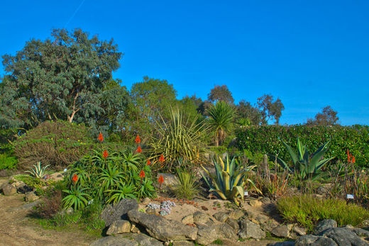 Jardin Exotique de Roscoff