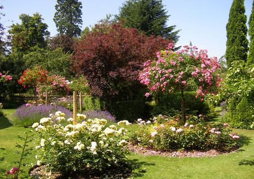 Jardin Floral du Château de Digeon