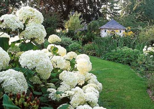 Jardins de Maizicourt