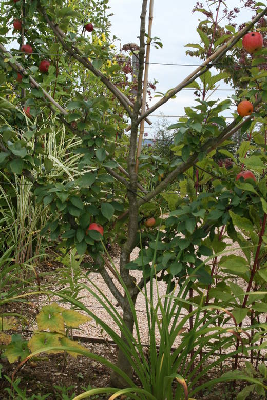 Jardins Fruitiers de Laquenexy