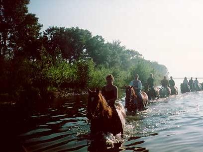 Kentucky Ranch