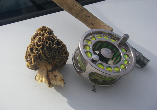 L'Atelier du Pêcheur à la Mouche