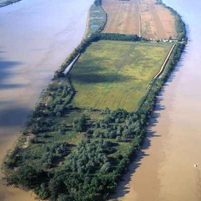 L'Île Nouvelle