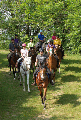 Centre Equestre La Courbette