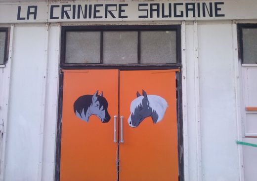 La Crinière Saugaine