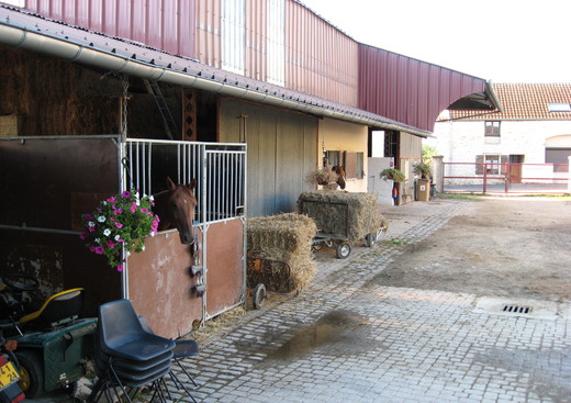 La Ferme équestre des Monts