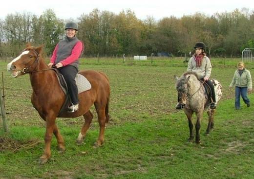 La Ferme O'Poney