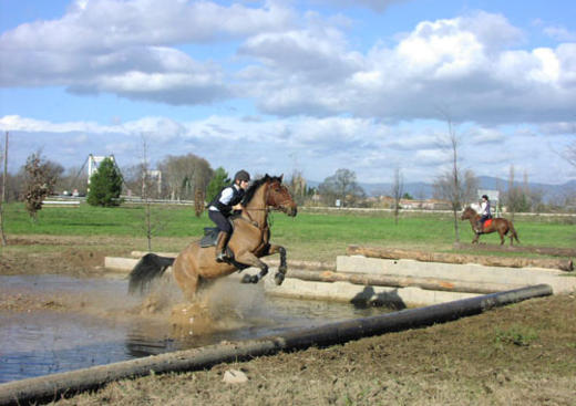 Le Fer à Cheval