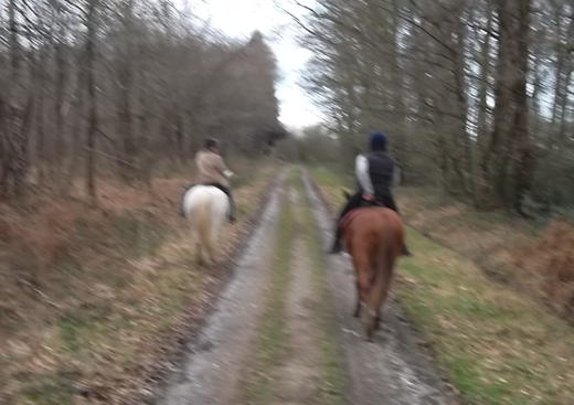 Le Gavre Endurance