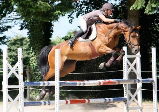 Le Haras des Auviers