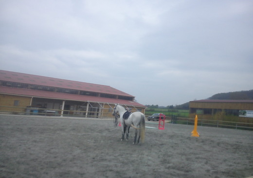 Le Haras du Mas