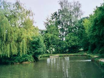 Le Moulin Carr