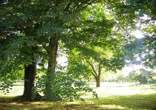 Le Parc de La Sauvagette, Le Monde Merveilleux du Chien