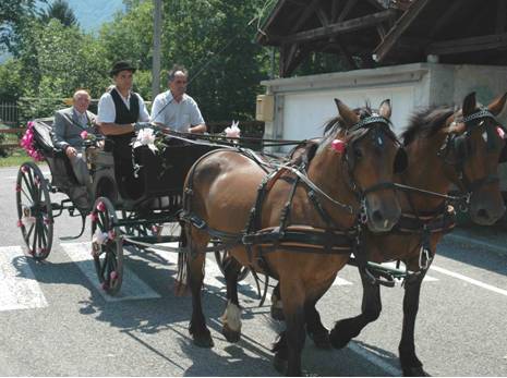 Calèches en Isère