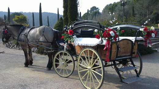 Les Calèches d'Annika
