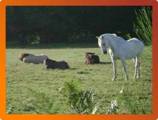 Les Ecuries d'Argent