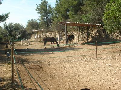 Les Écuries de Palama