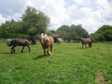 Les Ecuries du Mas