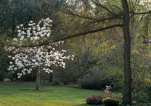 Les Jardins de Bellevue