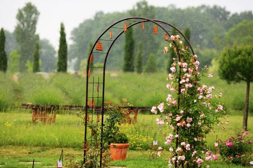 Les Jardins du Coq et le Musée Green