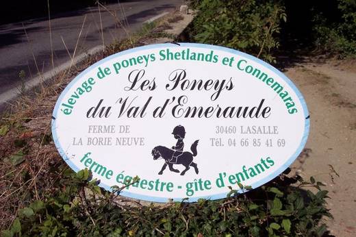 Les Poneys du Val d'Emeraude