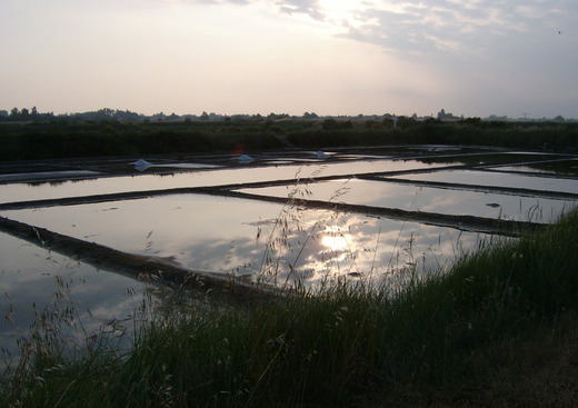 Les Salines