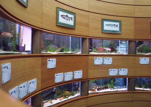 Maison de la Pêché et de la Nature