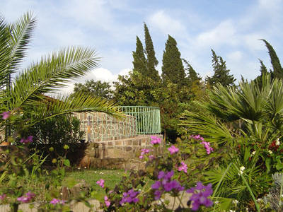 Mas Aurélia