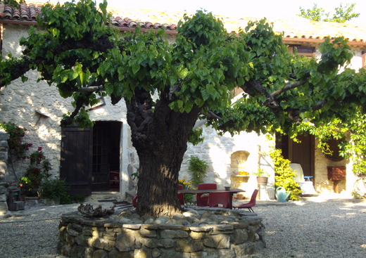 Mas de Font Sadoulé