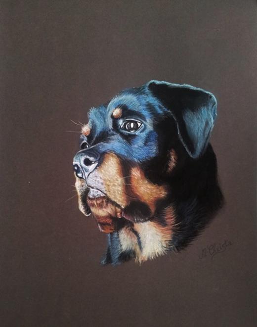 Mchrista Artiste peintre portraitiste pastelliste