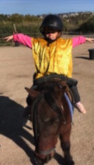 Mon Ami Poney Les Pennes Mirabeau