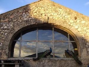 Moulin du Mas de Vaudoret