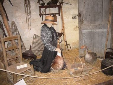 Musée du Foie Gras - Ferme de Souleilles