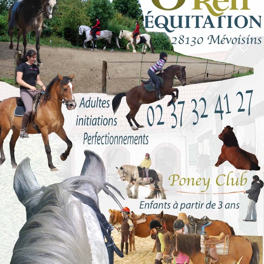 O'Reil Equitation