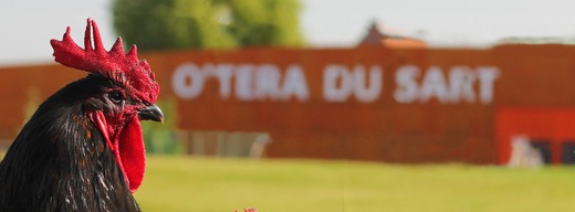 O'tera du Sart