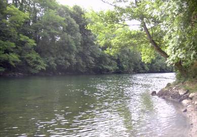 Paradis Pêche