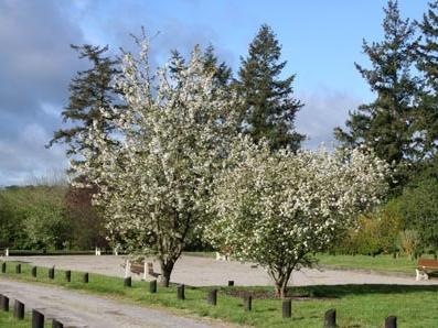 Parc de Loisirs Gouville Val d'Iton