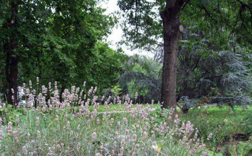 Parc départemental du Rancy