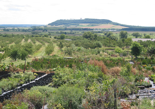 Parc Naturel Régional de Lorraine