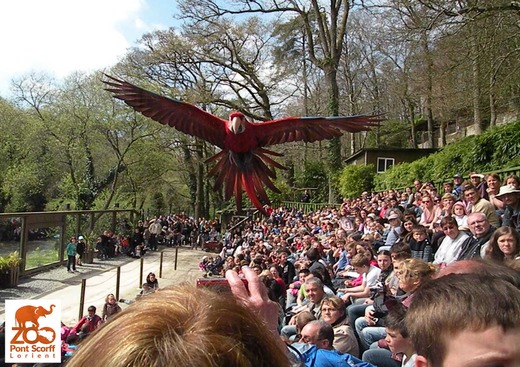 Parc Zoologique de Pont-Scorff