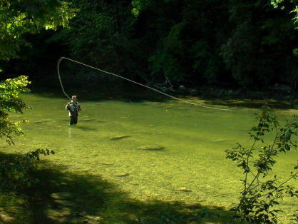 Pêche à la mouche