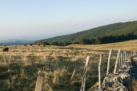 Plateau d'Estive de Saint Clément