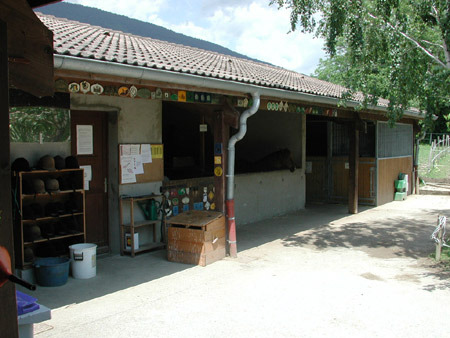 Poney Club d'Echenevex